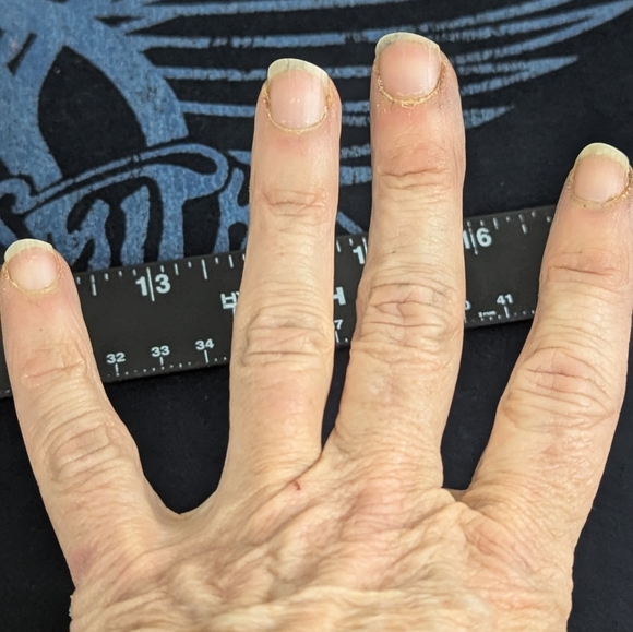 Aerosmith Black Tee With Blue Logo on Front Concert Tour Steven Tyler XL - Picture 4 of 8